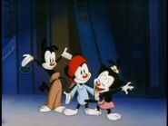 Animaniacs_Songs-_video_review