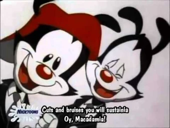 Macadamia Nut Animaniacs Wiki Fandom Ccbcbcbagggacacabgfgfedefggegabbaagagag those are the notes on the you can watch a video on you tube and copy the notes down if you have the patience. macadamia nut animaniacs wiki fandom