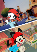 Wakko