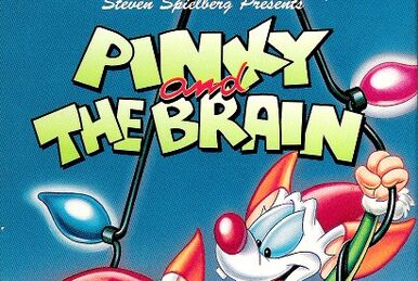 ANIMANIACS YOU WILL BUY THIS VIDEO VHS TAPE IN ORGIINAL BOX PINKY & THE  BRAIN