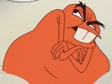 Zit