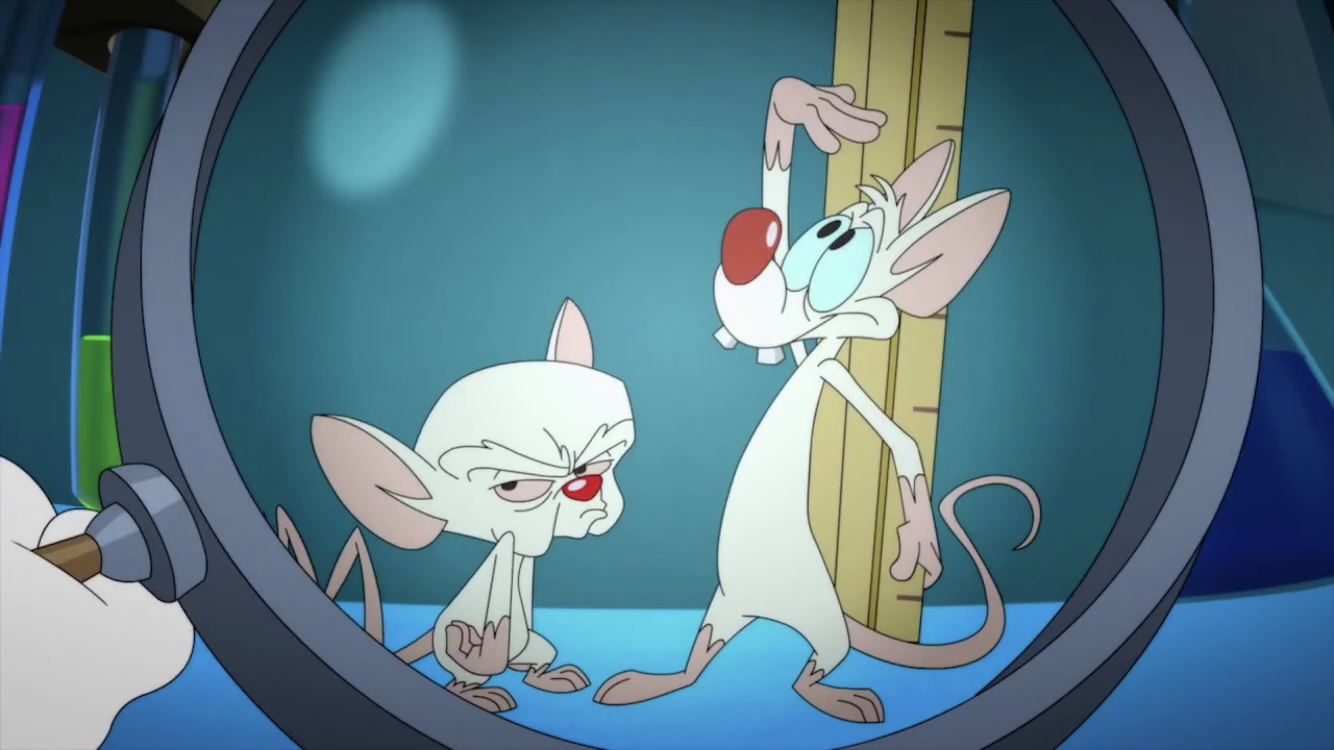 Pinky and the Brain take over Frederick as 'Animaniacs' cast visits  Weinberg Center - WTOP News