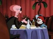 My Dinner with Wakko