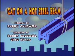 14-2-CatOnAHotSteelBeam