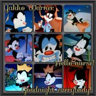 Yakko