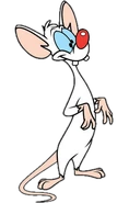 Pinky official art.png (61 KB) Pinky
