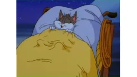 La canción de hay un decir que dice así