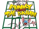 Pinky and the Brain (PlayStation/Sega Saturn)