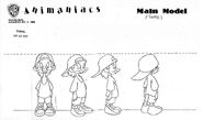 Model sheet