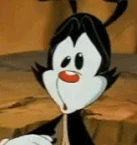 Yakko getting angry