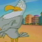 Steven Seagull