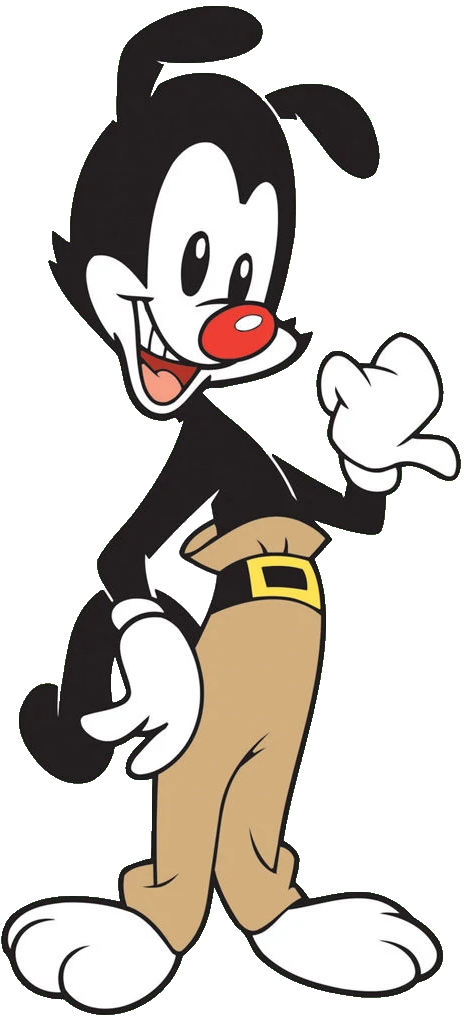 animaniacs wakko without his hat