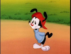Wakko-1-