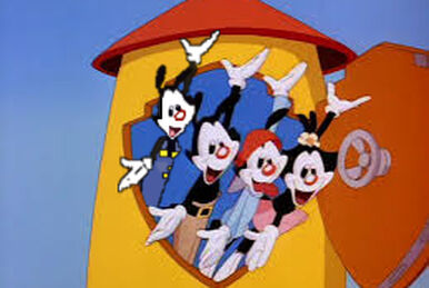 Wakko's Hat | Fanonmaniacs Wiki | Fandom