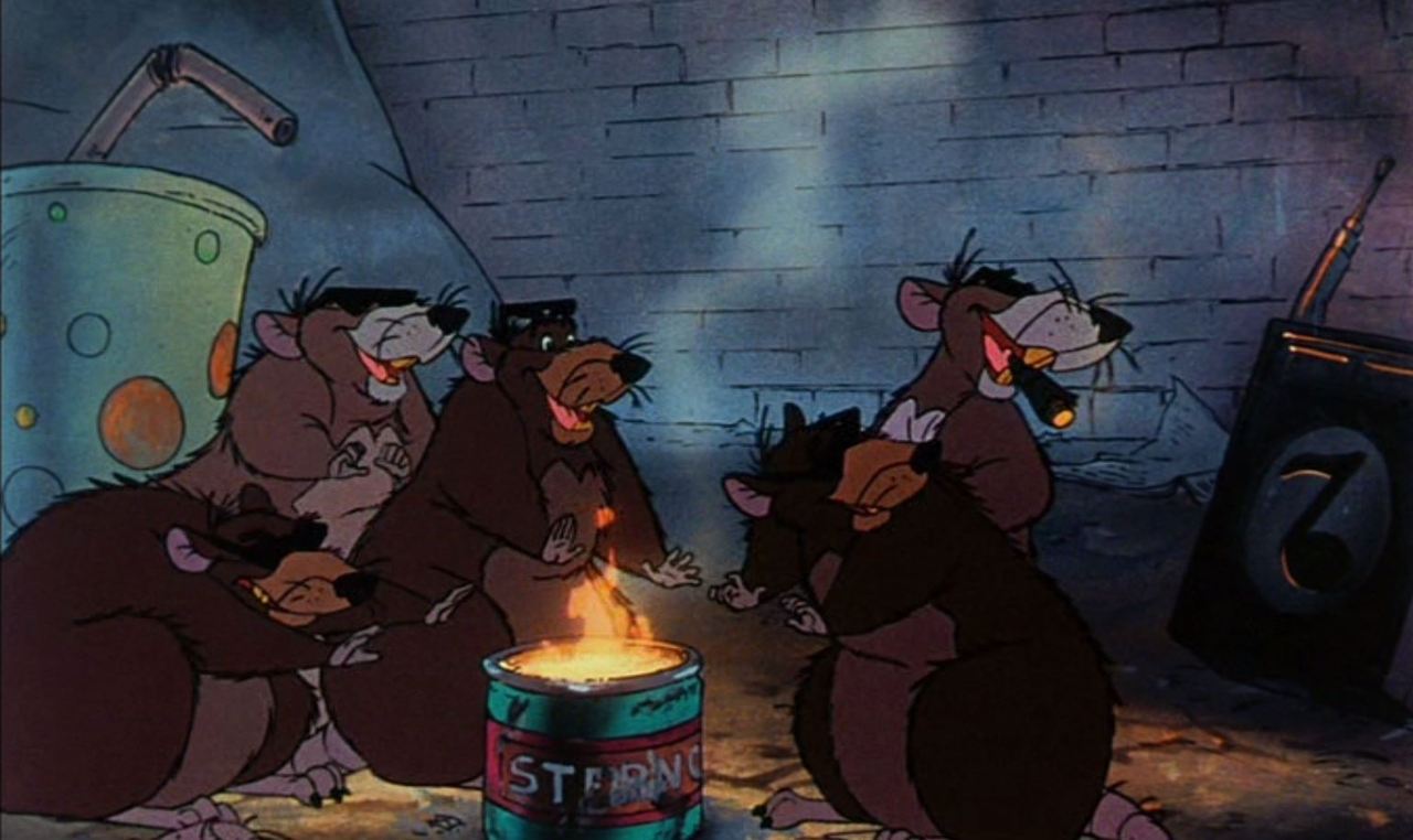 Homeless Rats | Animated Animals Wiki | Fandom Homeless Rats | Animated Animals Wiki | Fandom