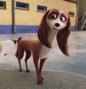 The queen's corgi song on sale
