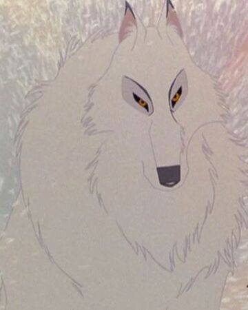 White Wolf Animated Animals Wiki Fandom