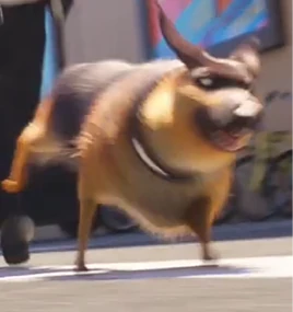 20250530 143756