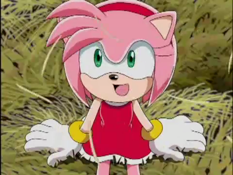 School girl Amy  Sonic the Hedgehog  Know Your Meme