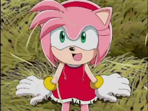 Amy Rose, Wikisonic Wiki