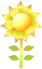 Sunshine