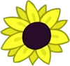 Sunflower (Happy Meatbill)