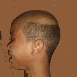 Click here to view the image gallery for Buddy Cut Boy.