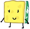 Sponge, meloms.