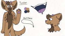 Tucker Reference Sheet.jpeg