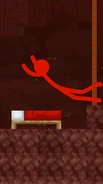 Red about to get some glorious sleep.