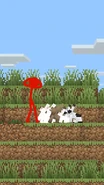 Red panicking realizing he's out of carrots for his fuzzy friends.