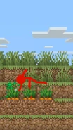 Red using bone meal on his carrot farm.