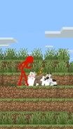 Red giving the bunnies the rest of his carrots.