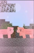 Piggie love screencap 2.webp (5 KB)