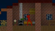 Red being woken up by his parrots.