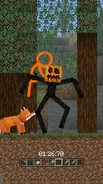 ...and stuffing it on an Enderman's head.