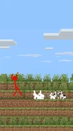 Red shocked by even more bunnies.