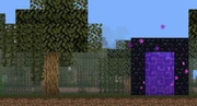 The Witch Portal Texture Error 2