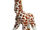 Crackers the Giraffe