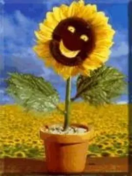 sunnyのマミー Sunny The Singing Sunflower | Animatronic Wiki | Fandom