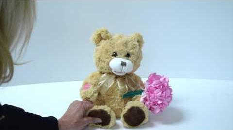 Animated Record A Voice Bouquet Bear by Chantilly Lane®