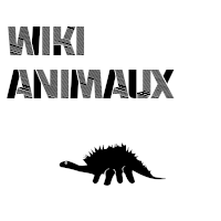 Wiki Animaux