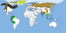 Ours répartition.png