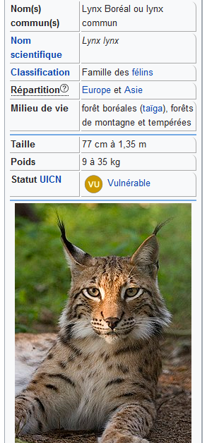 Lynx boréal, Wiki Animaux ( en français)