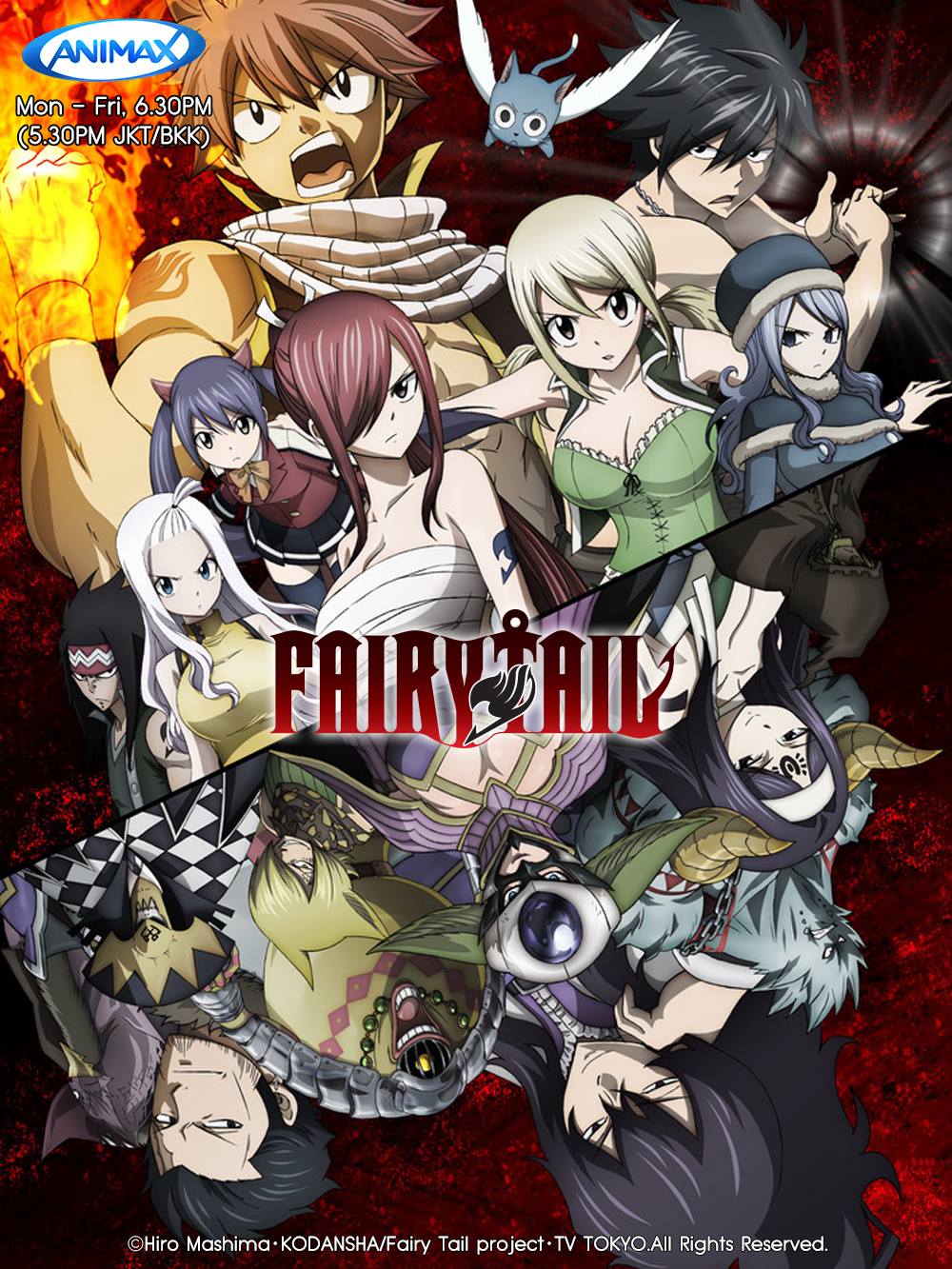 Fairy Tail, Animax Wiki