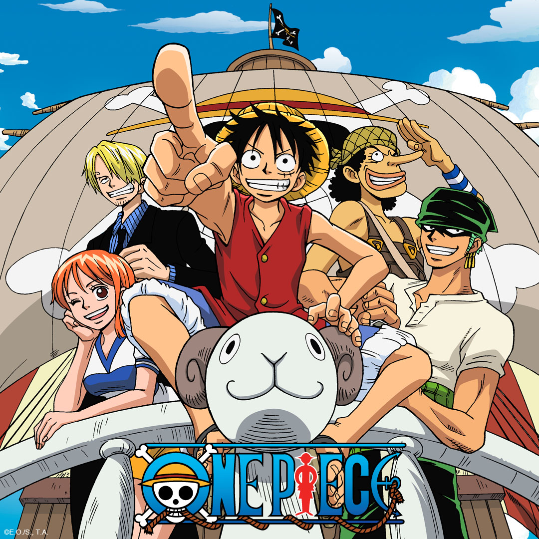 DVD ONE PIECE LIVE ACTION Season 1 Vol 1-8 END English Dub All