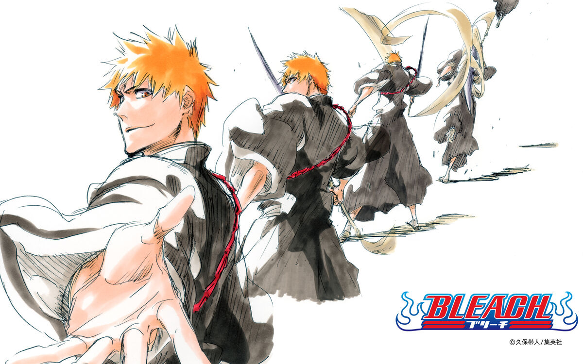 Bleach Anime and Manga Battles Вики Fandom