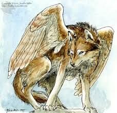 How To Draw A Winged Wolf, Step by Step, Drawing Guide, by Dawn - DragoArt