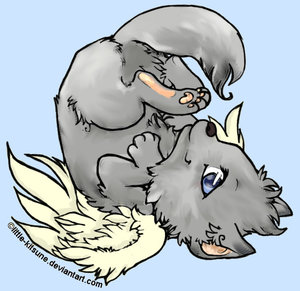 cute anime wolves with wings