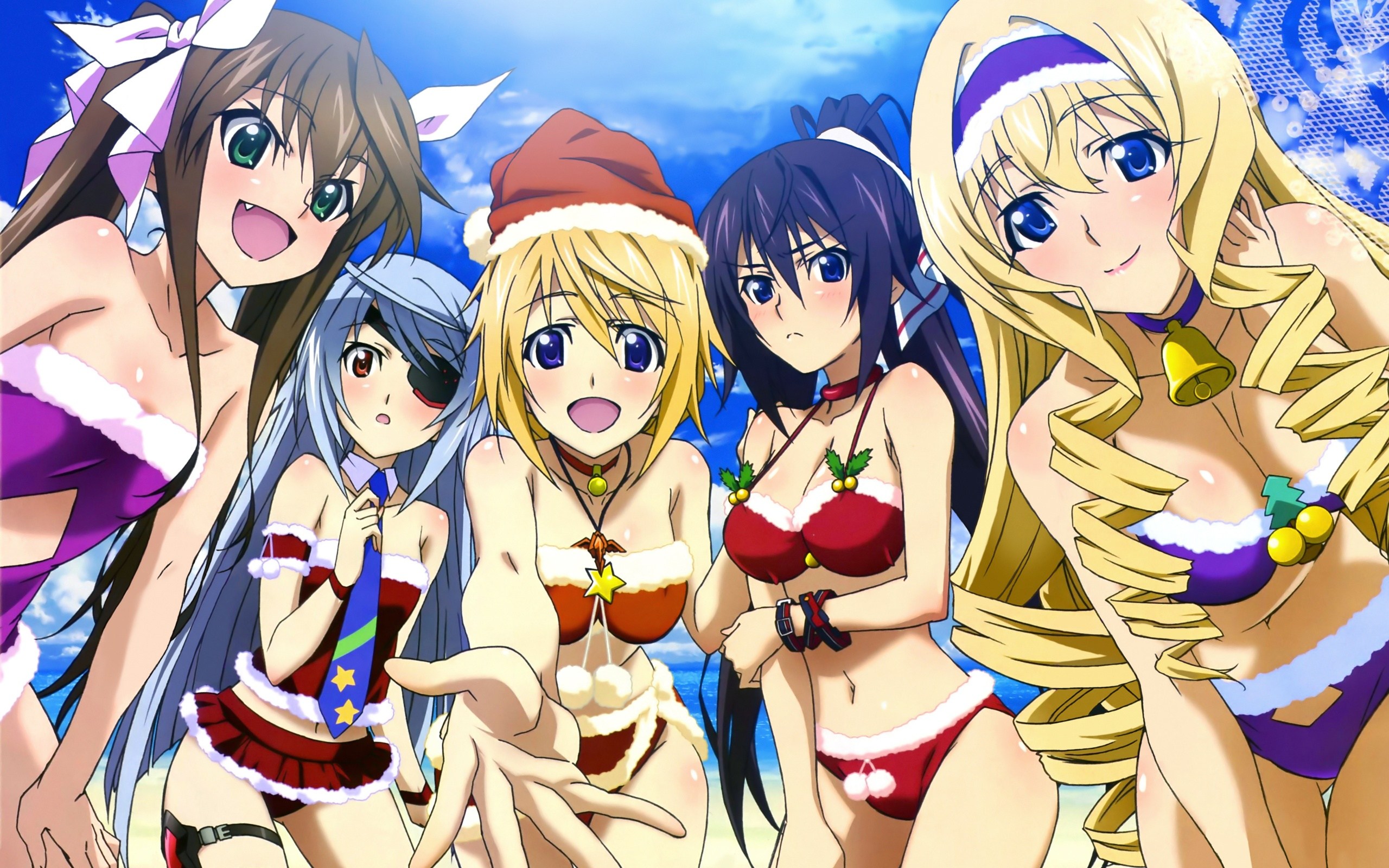 Infinite Stratos  Anime, Anime harem, Cool anime wallpapers